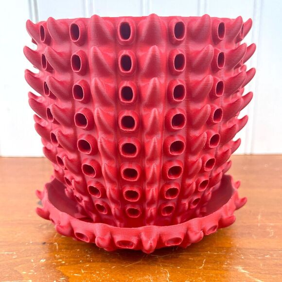 Barnacle Planter Pot, Indoor Flower Pot, Houseplants - Picture 3 of 9